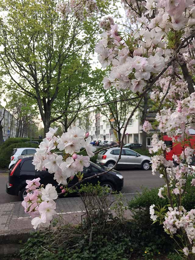 Frankfurt Gallusviertel Frühling oder Sommer