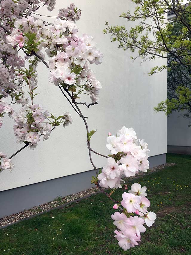 Frankfurt Gallusviertel Frühling oder Sommer