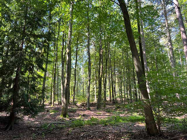 Von Frankfurt aus Ausflug in den Taunus zum Forellengut Herzberg