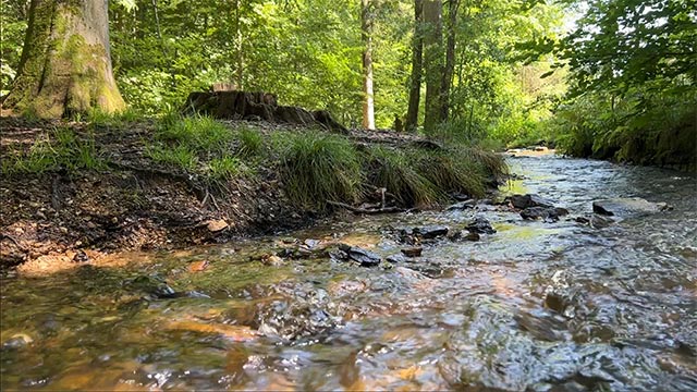 Von Frankfurt aus Ausflug in den Taunus zum Forellengut Herzberg