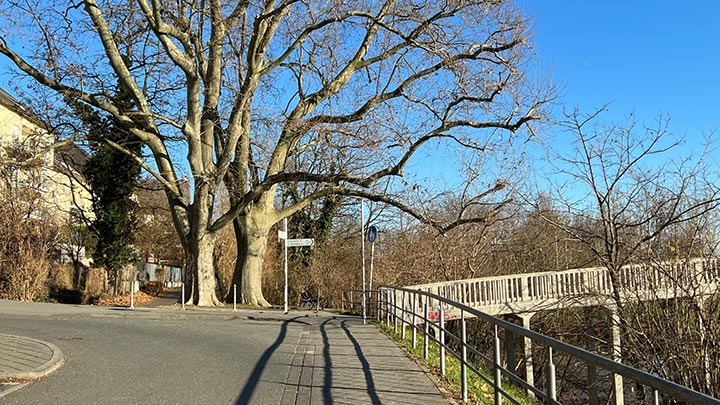 Frankfurt Höchst Blues ein schöner Januartag