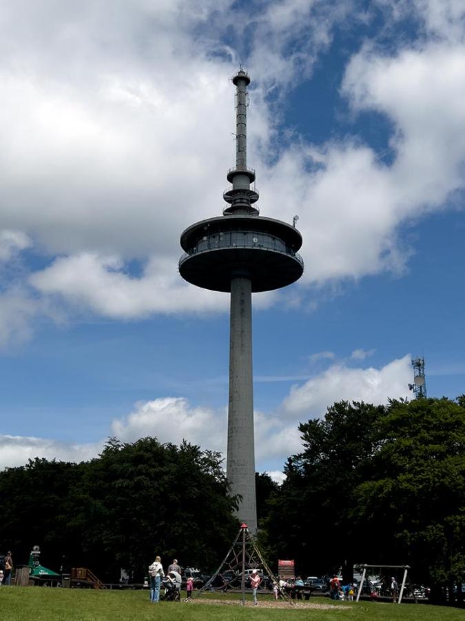 Wo ist der Vulkan in Vogelsberg?